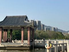 -飞来湖湿地公园