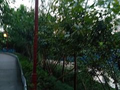 -重庆彩云湖湿地公园