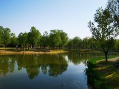 -东郊湿地公园