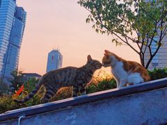 -UNI UNI(环亚凯瑟琳店)