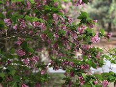 -长春公园(普阳街道)