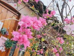 -村上春树