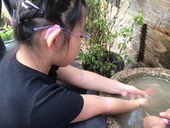 -田园东方蜜桃村的田野营地