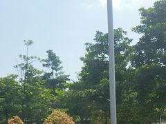 -飞来湖湿地公园