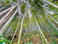 -沣峪森林公园龙潭戏水景区