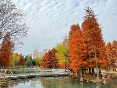 -白塘生态植物园