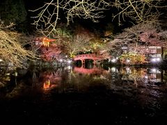 -醍醐寺