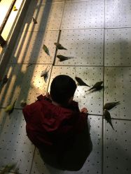 -酷嗒动物文化乐园(cutezoo西溪乐天城店)