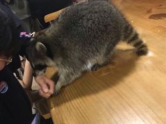 -藦茜花园宠物主题亲子互动体验馆(国顺东路店)
