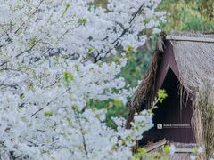 -中国茶叶博物馆(双峰馆区)