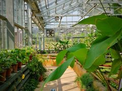 -国家植物园南园