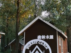 -林栖谷森林康养度假区