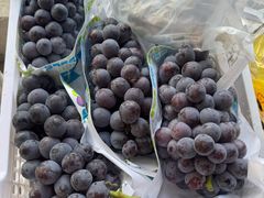 -马陆小张葡萄园农家乐