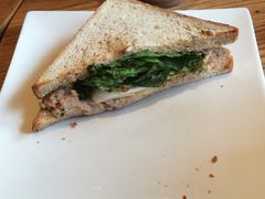 -星巴克(大梅沙8号仓店)