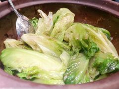 啫啫生菜煲-陶陶居酒家(海岸城店)