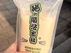 -猫的魔法密林(衣裳街店)