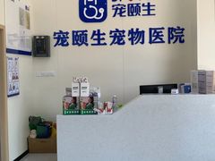 -宠颐生猫科·内科皮肤科(西平世纪城店)