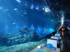 -涛·海底餐厅·美人鱼·自助餐·海底隧道(三亚海棠湾洲际度假酒店)