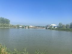 -白洋淀风景区