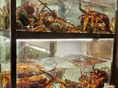 海鲜池-甄御•海鲜新青岛菜(麦岛店)