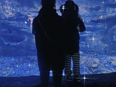 -泉城欧乐堡海洋极地世界