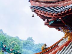-黔灵山公园