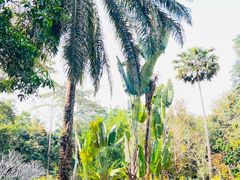 -中国科学院西双版纳热带植物园