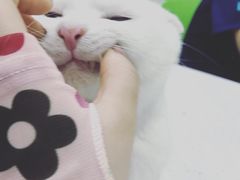 -佳雯宠物医院(金华南路分院)