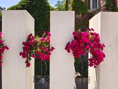 -汉唐宴长安食府