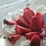 -西湖外事游船(花港观鱼码头)