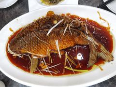 罾蹦鲤鱼-金阁家常菜(贵阳路店)