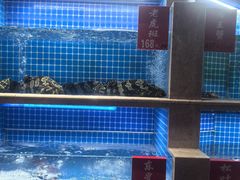 -贡宴盐帮菜自贡驻京联络处餐厅