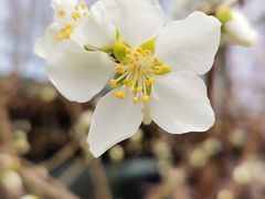 -三里河公园