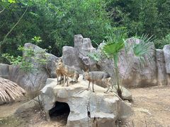 -宁波野生动物园