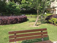 -徐家汇源景区-衡山公园