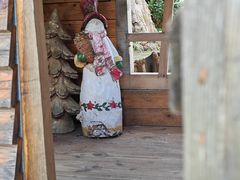 -荷兰花海