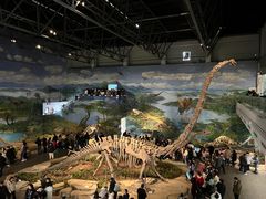 -自贡恐龙博物馆