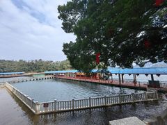 -广州市流溪河国家森林公园