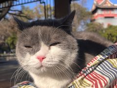 -四川大学(华西校区)