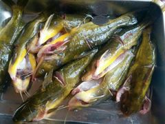 -荣德灶台鱼(圣泉寺店)