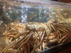 -紫阳海鲜楼·传承闽味(长乐路总店)