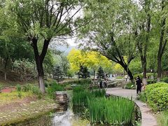 -北宫国家森林公园