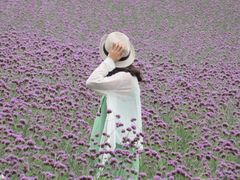 iphone_upload_pic-紫颐香薰山谷景区