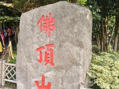 -普陀山风景区-佛顶山