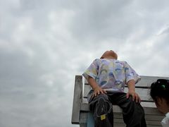 -空港花田景区