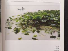 -阳澄湖半岛旅游度假区