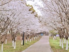 -盐官日光域房车营地·有盐餐厅