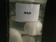 -广东惠东海龟国家级自然保护区