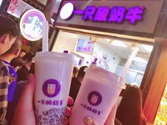 -一只酸奶牛(八一路店)