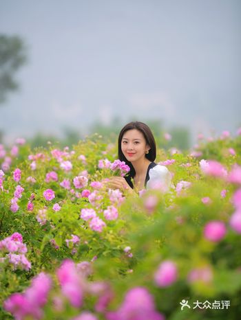 济南周边游|住帐篷初体验 太棒了